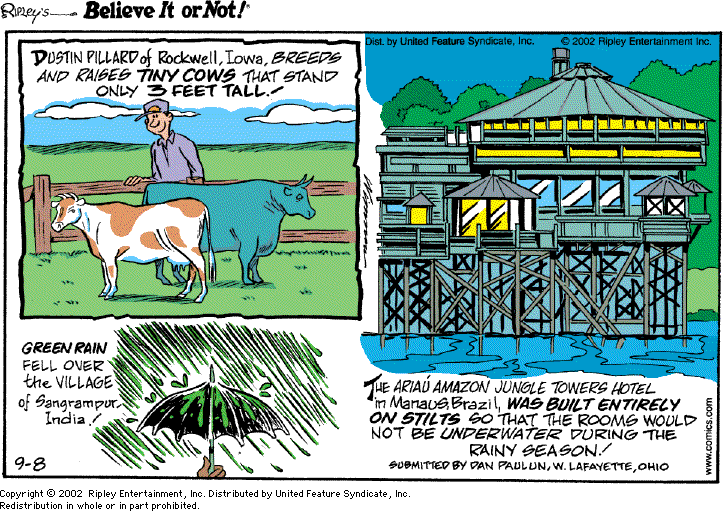 dpcomic
