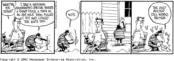 dpcomic